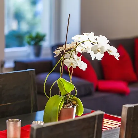Apartmán Zittera - Adults Only Innsbruck