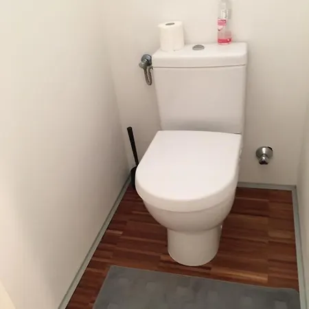 Zittera - Adults Only