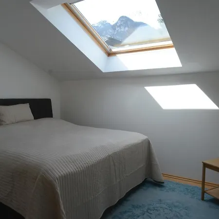 Zittera - Adults Only