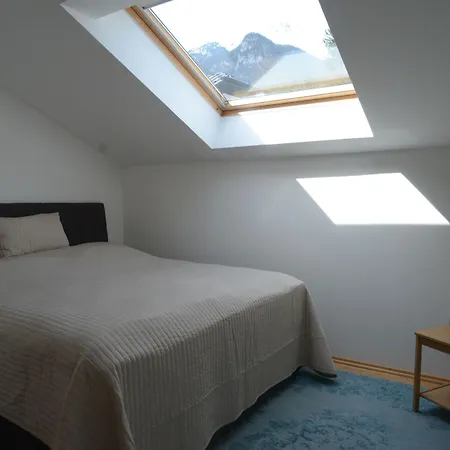 Zittera - Adults Only *