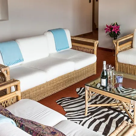 Zittera - Adults Only