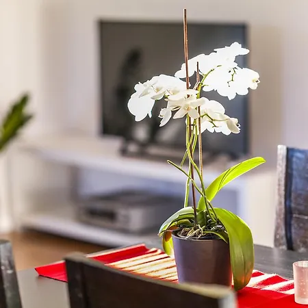 アパート Zittera - Adults Only