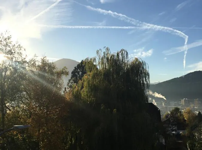 Zittera - Adults Only *