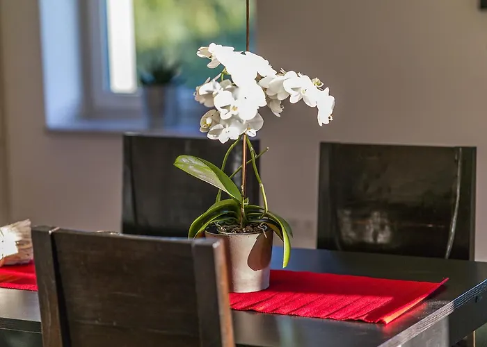 公寓 Zittera - Adults Only *