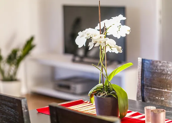 Apartman Zittera - Adults Only